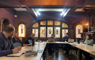 Núcleo Constitucional realiza workshop sobre autonomías constitucionales