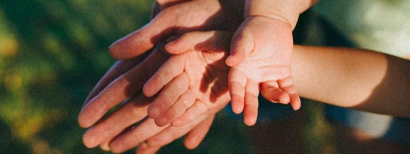 Diplomado en Derecho Patrimonial de las Familias